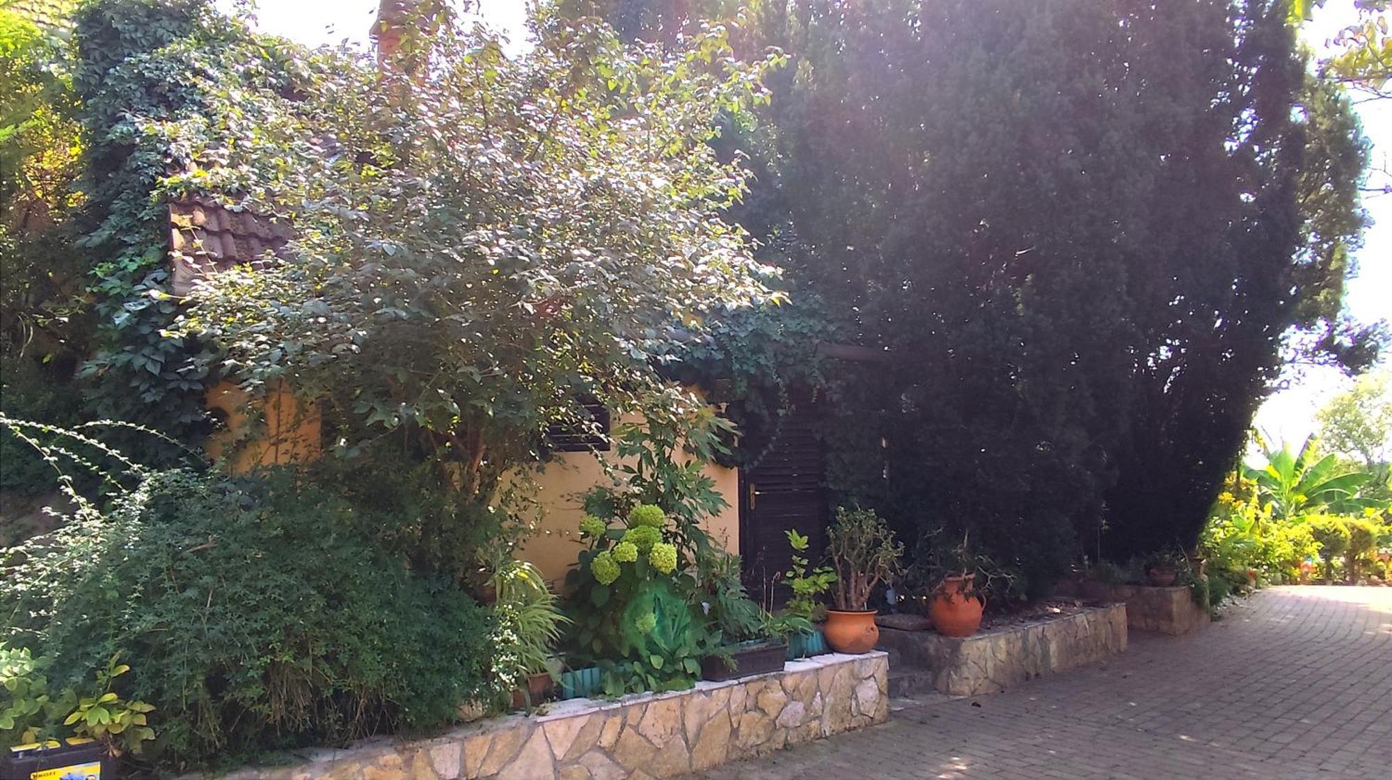 Katica Vendégház Siófok Exterior foto